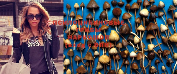 бутират Армянск