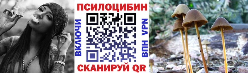 Галлюциногенные грибы ЛСД  наркошоп  KRAKEN рабочий сайт  Осинники 